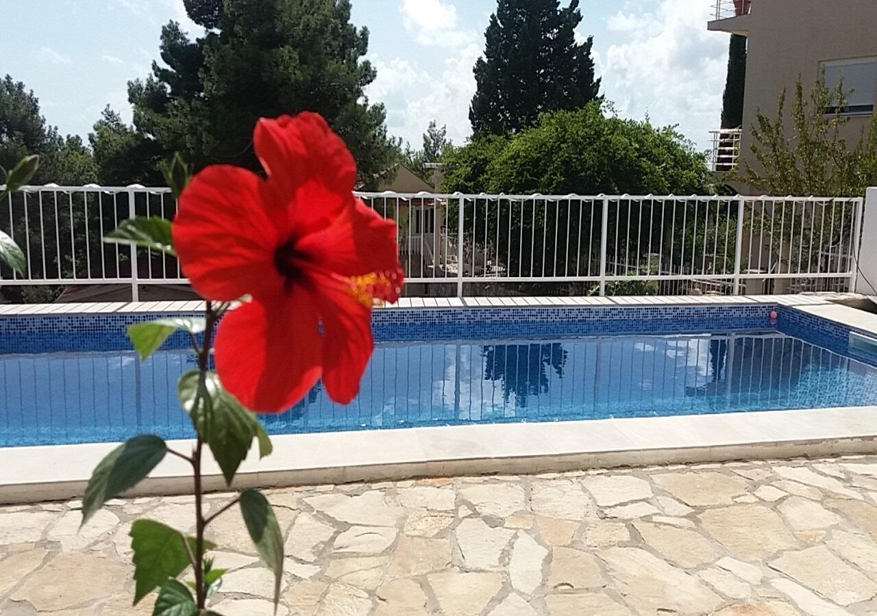 Apartment Tijana บาร์ ภายนอก รูปภาพ